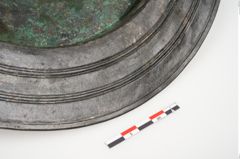 Foto von Bronzephalere (NHMW-PRAE-025108)